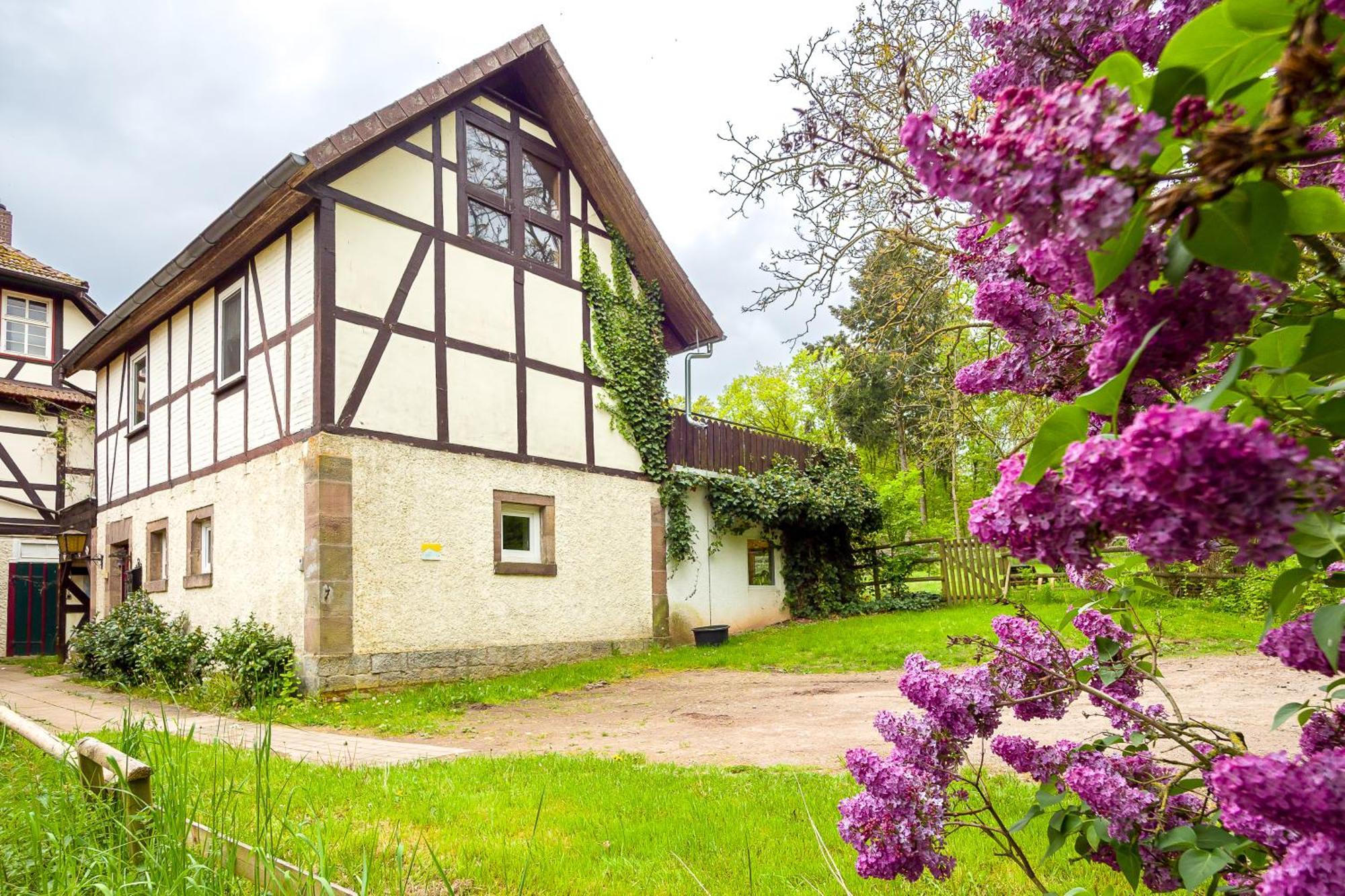 Forsthaus Halbemark Bad Sooden-Allendorf Exterior foto